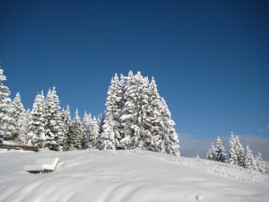 strak blauwe lucht en verse sneeuw